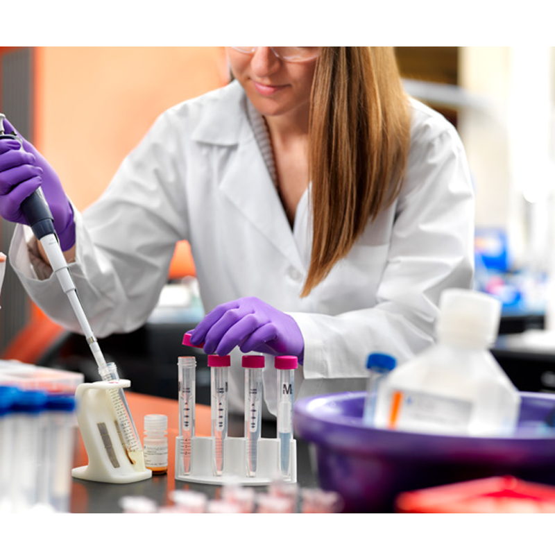 Protein Purification